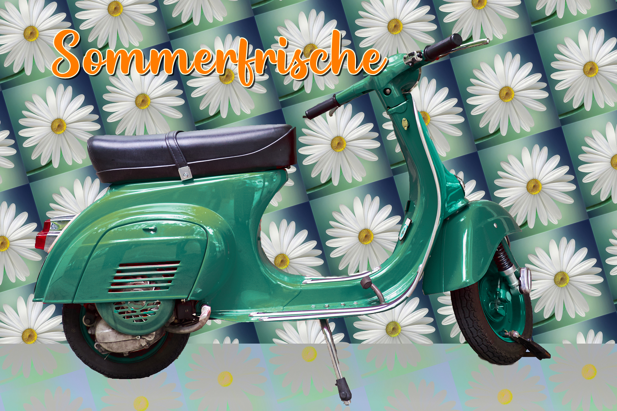 Roller Margeriten
